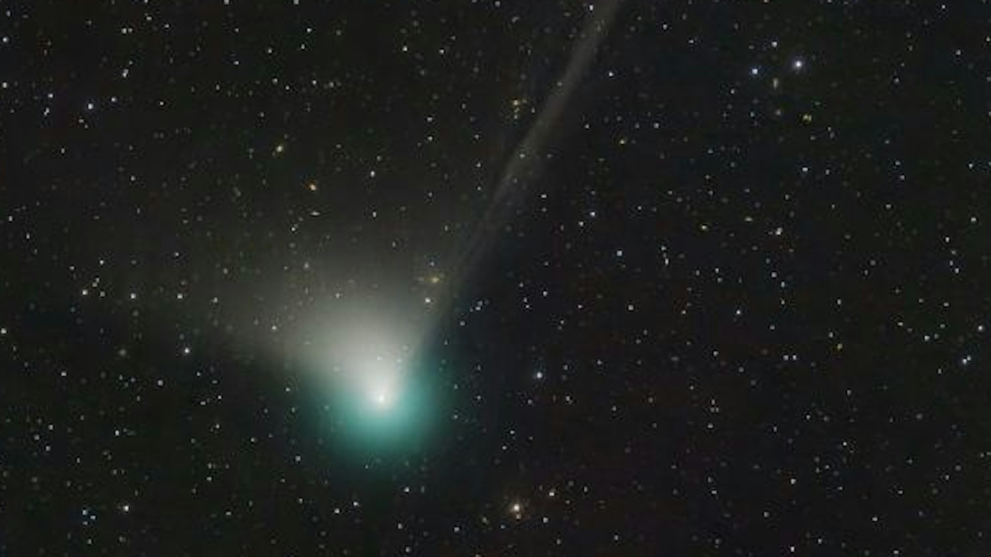 Ein Bild der Nasa aus dem Weltraum zeigt den Kometen, der einen grünen Schweif hinter sich herzieht, vor dem Sternenhimmel.