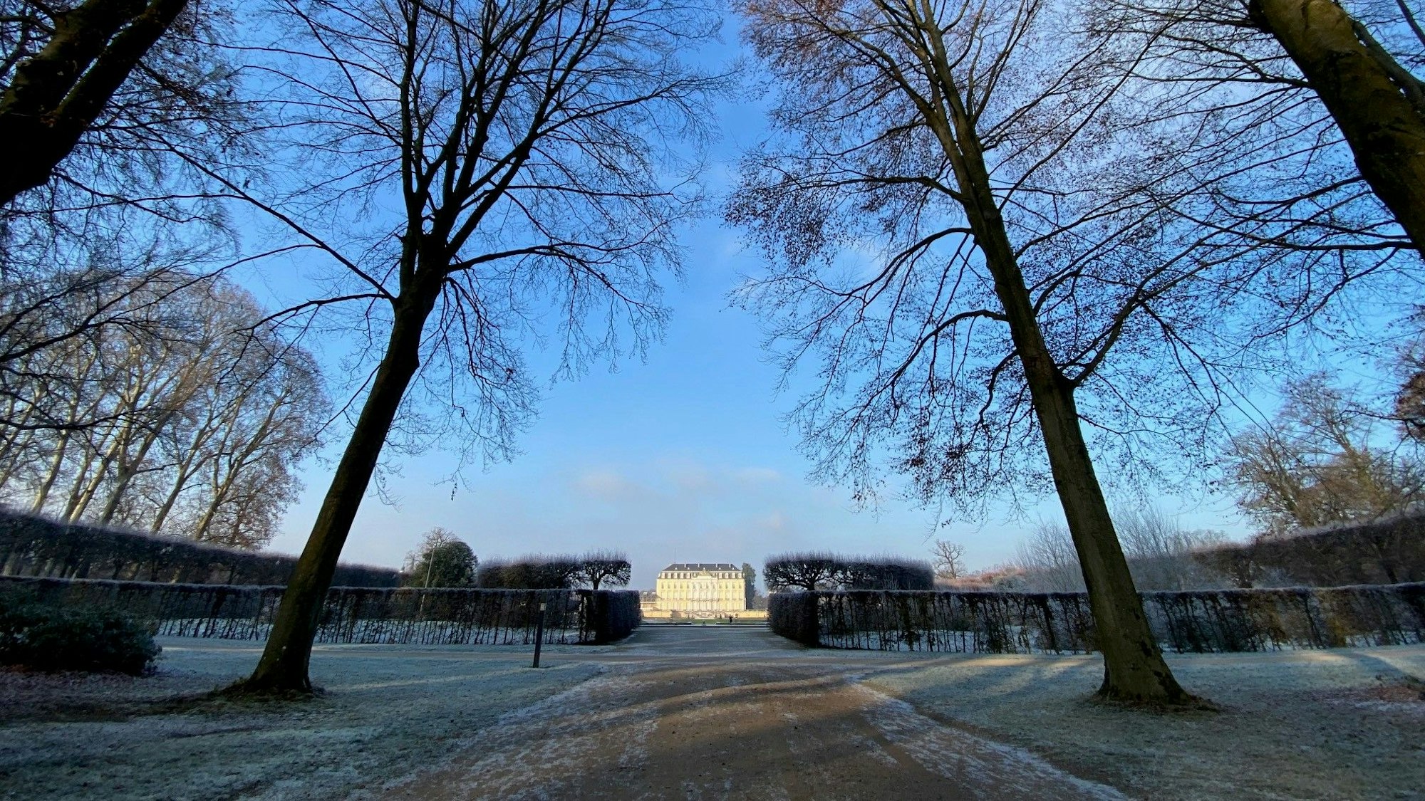 Die jahrhundertealten Bäume prägen den Brühler Schlosspark, doch die trockenen Sommer der vergangenen Jahre haben dem Grün zugesetzt. Im Hintergrund ist das Schloss zu sehen.