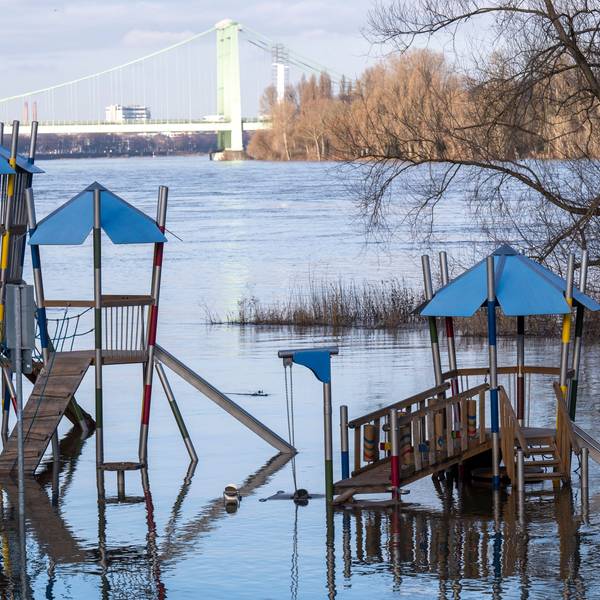 Der Spielplatz am Rheinufer in Rodenkirchen steht unter Wasser.
