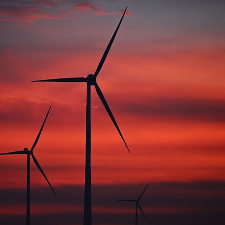 Windräder sind im Windpark Neudorf bei Sonnenaufgang zu sehen.