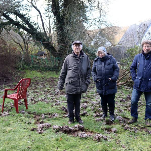 Siegfried Bauer (v.l.), Viola Pöschke-Bauer und Dieter Temming stehen im von Wildschweinen verwüsteten Garten der Bauers am Finkenweg in Bad Münstereifel.