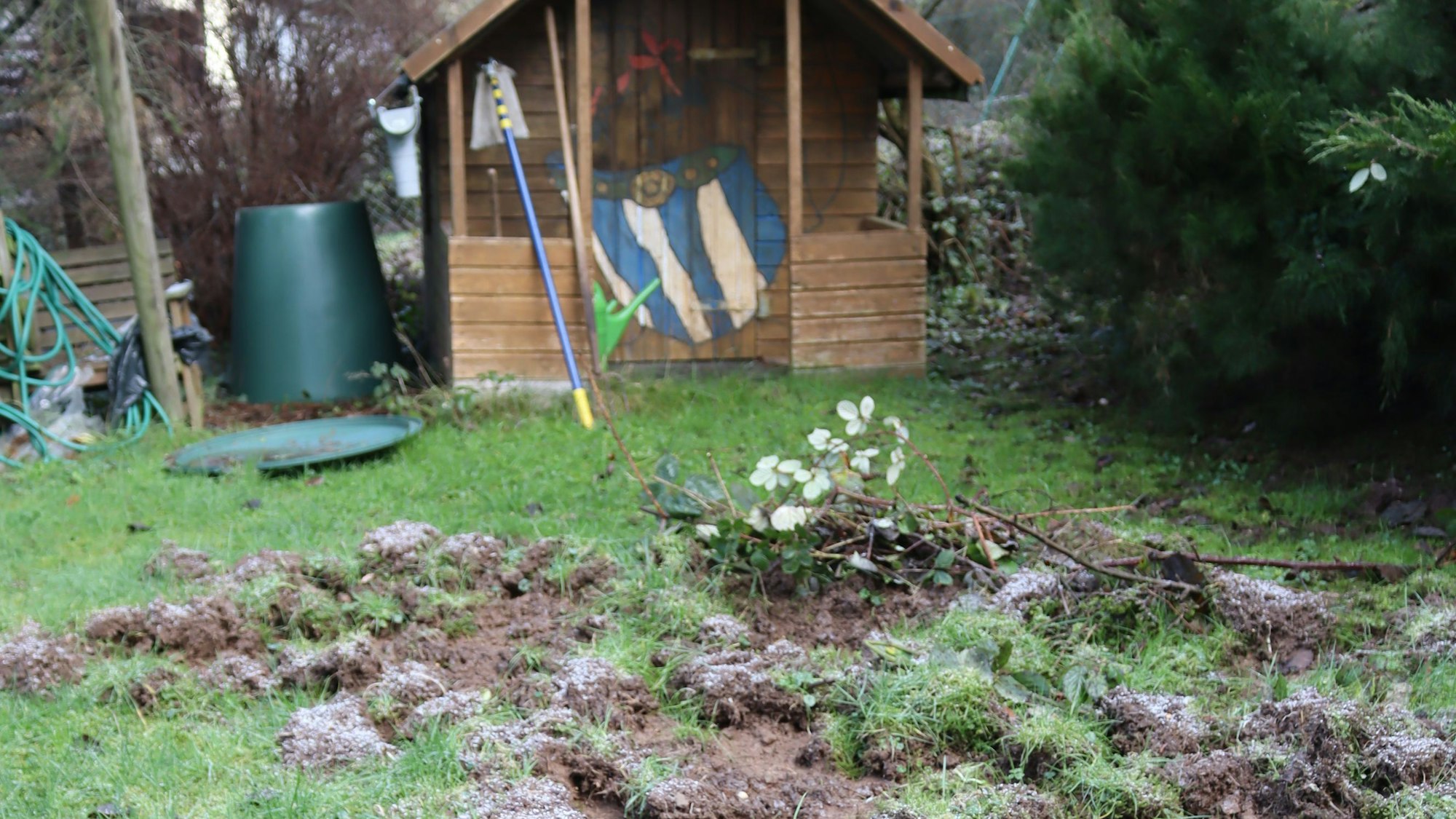 Ein von Wildschweinen verwüsteter Garten in Bad Münstereifel. Im Hintergrund ist ein Kinder-Spielhaus zu sehen, auf das eine Obelix-Figur gezeichnet wurde.