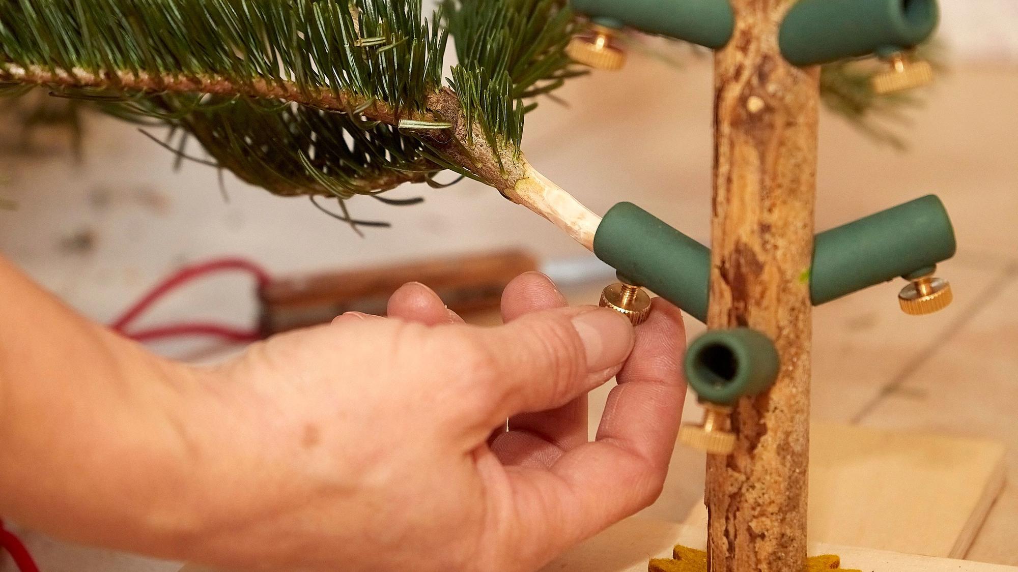 Ein Tannenzweig wird in einen Adapter gesteckt.