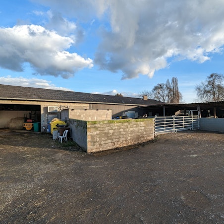 Das Foto zeigt den verlassenen Schlachthof in Hürth. Dort sollen Tiere illegal geschächtet worden sein.
