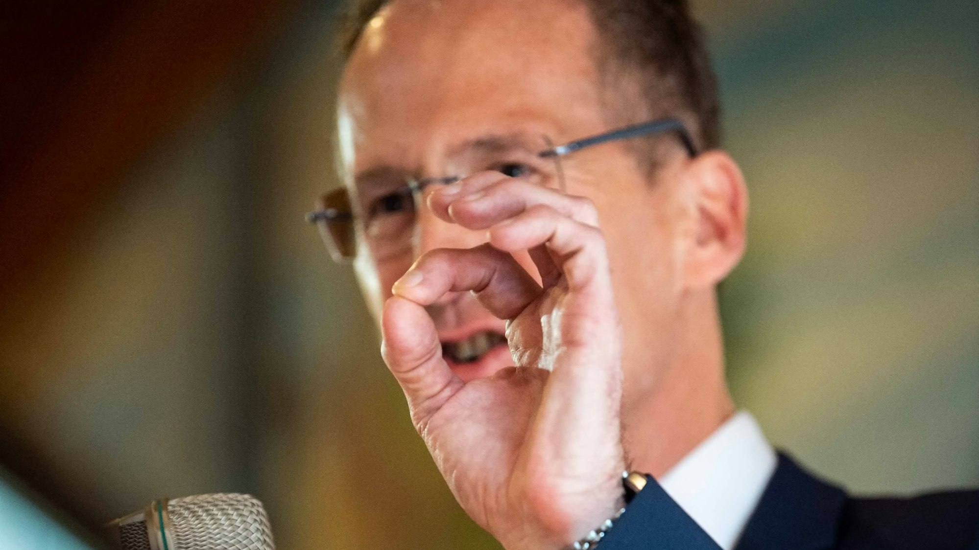 Der CDU-Bundestagsabgeordnete Detlef Seif steht am Mikrofon.