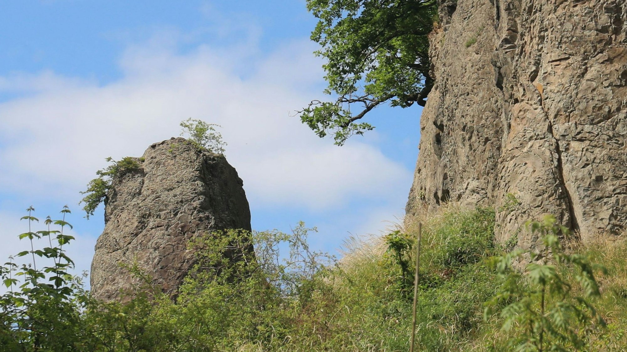Zwei Felsen des Stenzelbergs, auf denen zum Teil Pflanzen und Bäume wachsen, und im Hintergrund weiße Wolken am blauen Himmel.