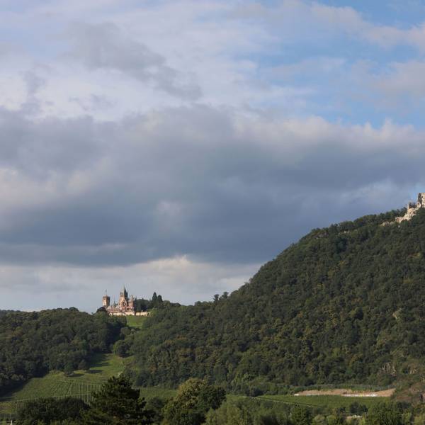 Das Bild zeigt eine kleine Hügelkette im Sommer mit grünen Bäumen und auf den Bergkuppen die Gebäude Petersberg-Hotel und Schloss Drachenburg sowie die Ruine des Drachenfels.
