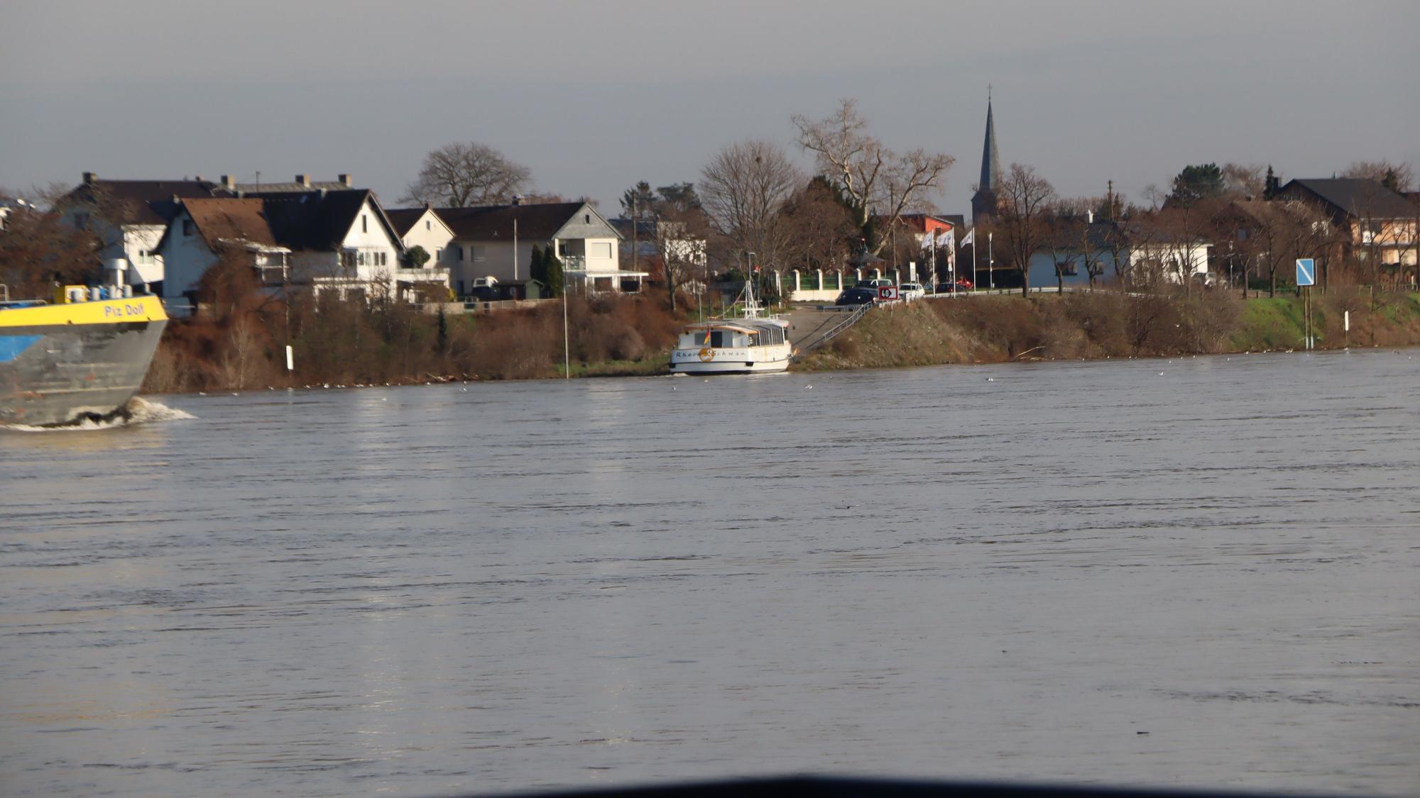 Das Foto zeigt den Rhein bei Wesseling. Im Hintergrund ist die Fähre Rheinschwan zu sehen.