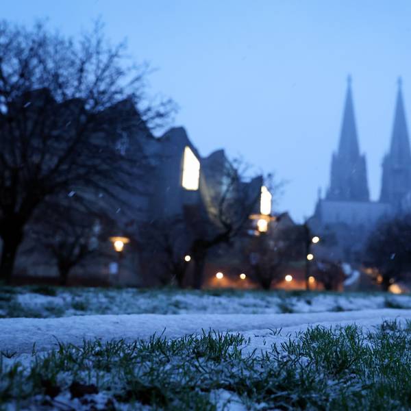 19. Januar: Schnee liegt auf einer Wiese in Köln. Während in der Millionenstadt am Donnerstag nur wenige Zentimeter Schnee fielen, gab es deuttlch mehr Neuschnee in anderen Regionen.