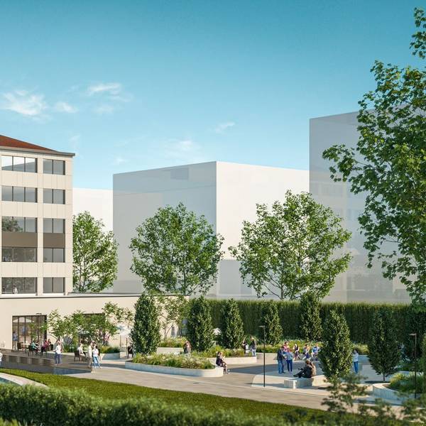 Illustration deCampus Rodenkirchen