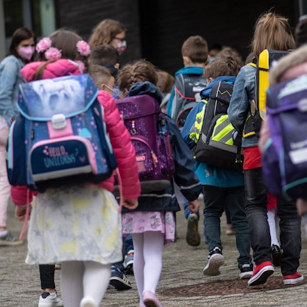 Eine Gruppe von Erstklässler sind mit ihren Schulrucksäcken von hinten zu sehen.
