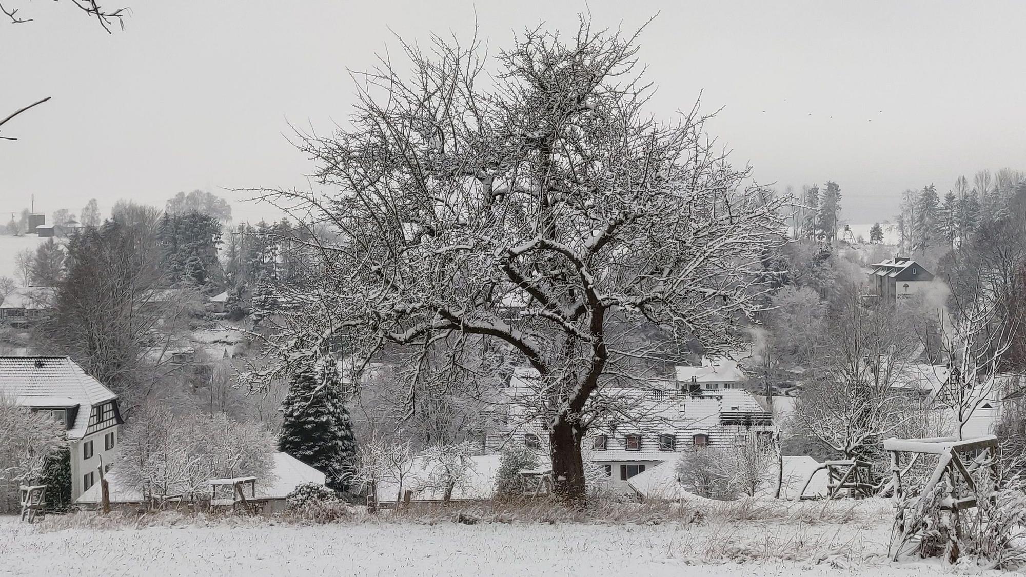 Schnee-Landschaft bei Weltersbach.