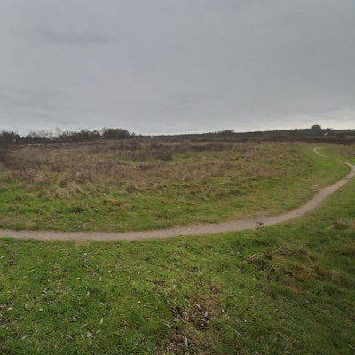 Bayer 04 will am Kurtekotten auf diesem Stück Heide bauen.