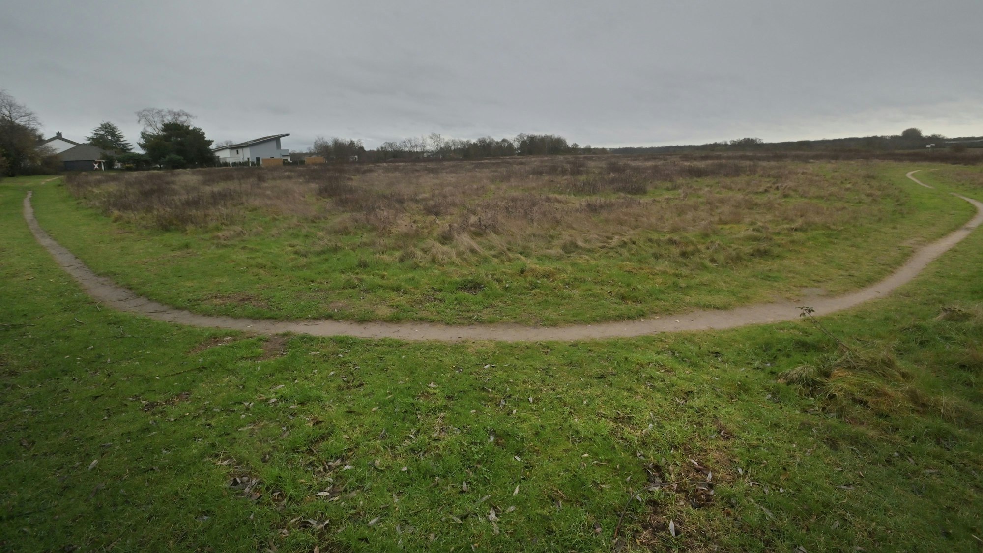 Bayer 04 will im Kurtekotten auf diesem Stück Heide bauen.