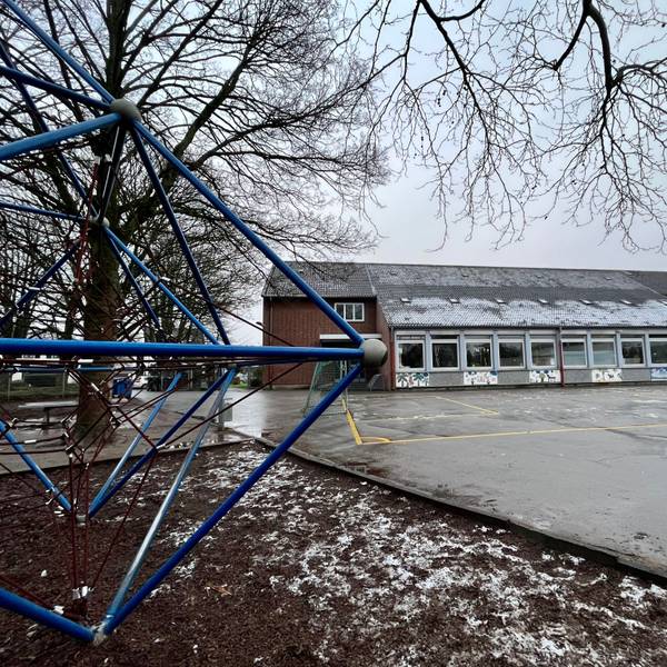 Blick über einen Schulhof auf ein Schulgebäude