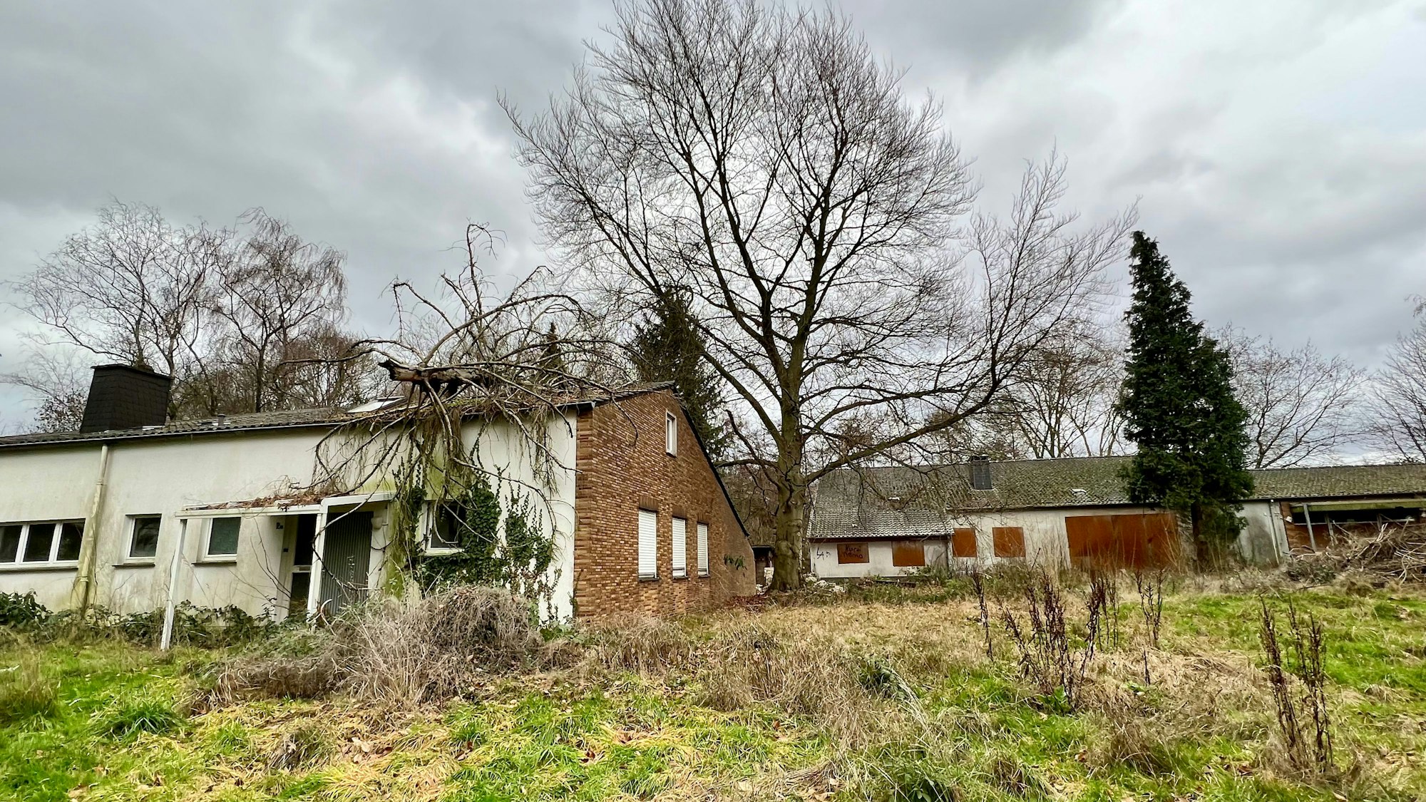 Das heruntergekommene frühere evangelische Gemeindezentrum in Alkenrath, ein Baum ist ins Dach umgestürzt.