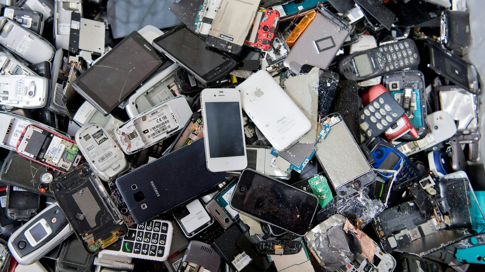 Alte Handys und Smartphones liegen in einem Container, ehe sie geschreddert werden.