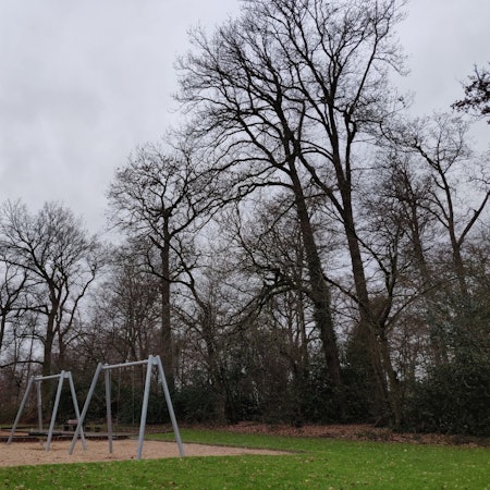 Der Waldrand am Spielplatz in Förstchen