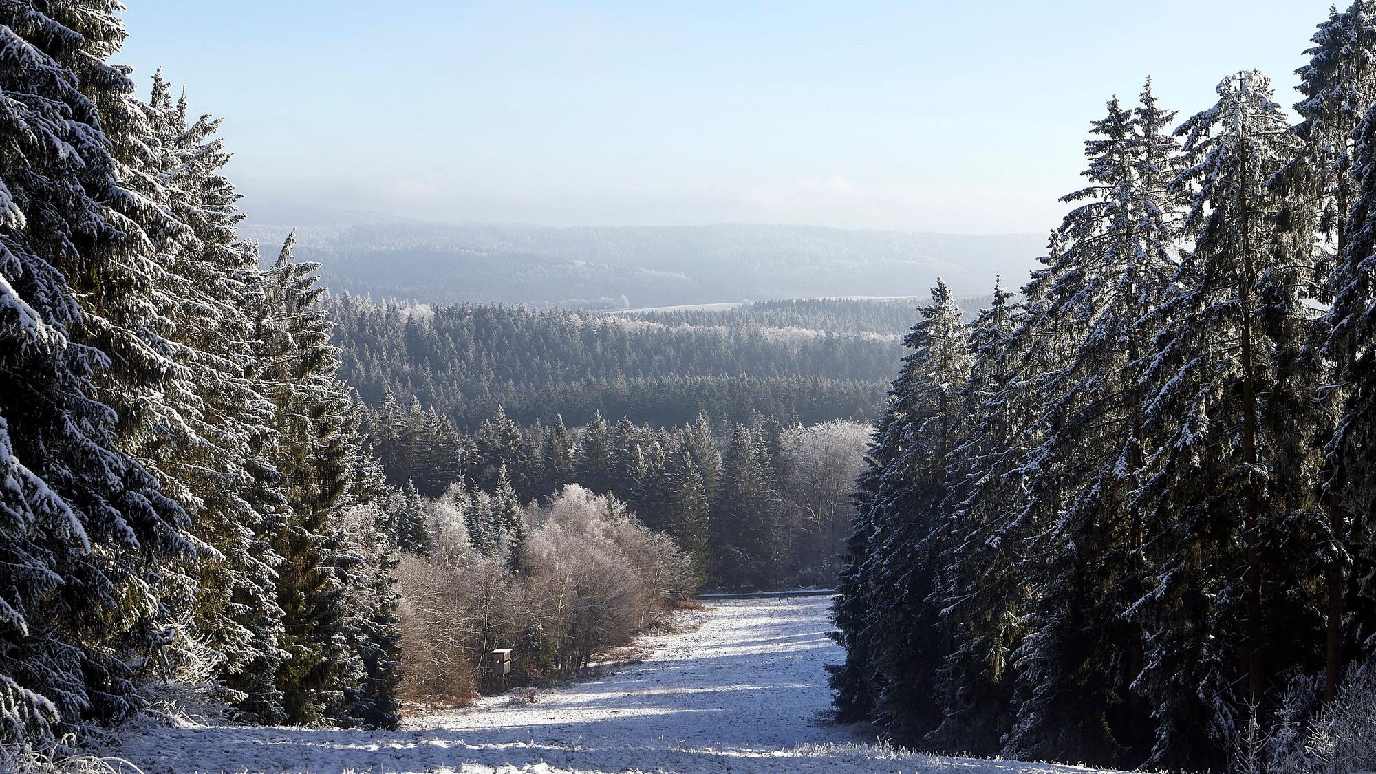 Verschneiter Hang im Skigebiet Schwarzen Mann