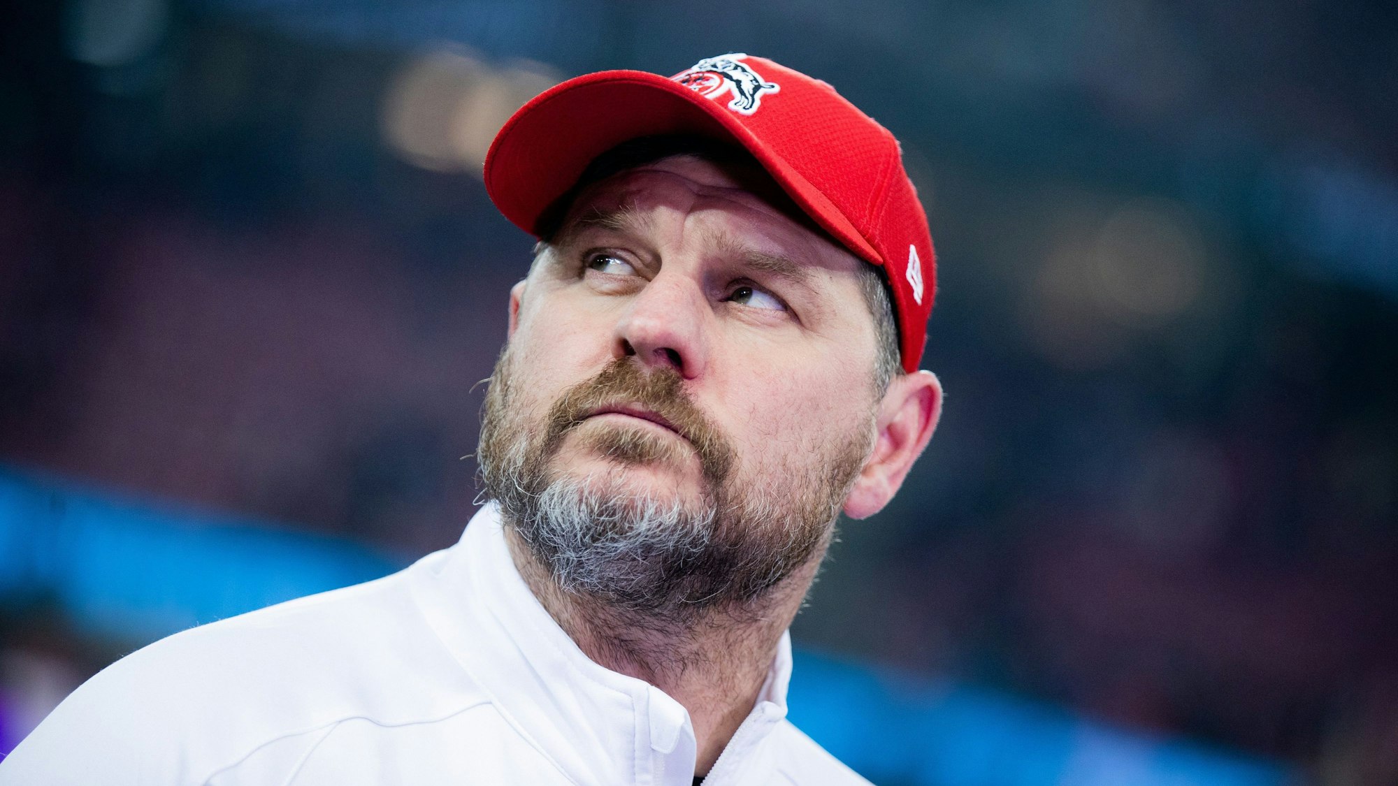 Steffen Baumgart steht vor dem Spiel des 1. FC Köln gegen Werder Bremen im Stadion, er trägt eine rote Kappe und blickt auf die Tribünen.
