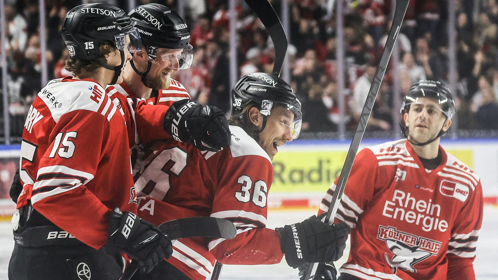 Spieler der Kölner Haie feiern ein Tor gegen die Bietigheim Steelers.