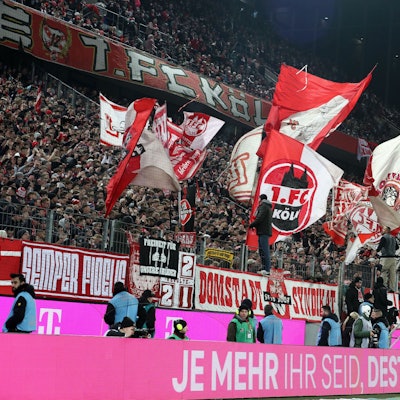 In der Südkurve des Rhein-Energie-Stadions sind mehrere Fahnen des 1. FC Köln zu sehen. Die Anhänger des Bundesligisten unterstützen ihren Verein im Rahmen eines Spiels unter Flutlicht.