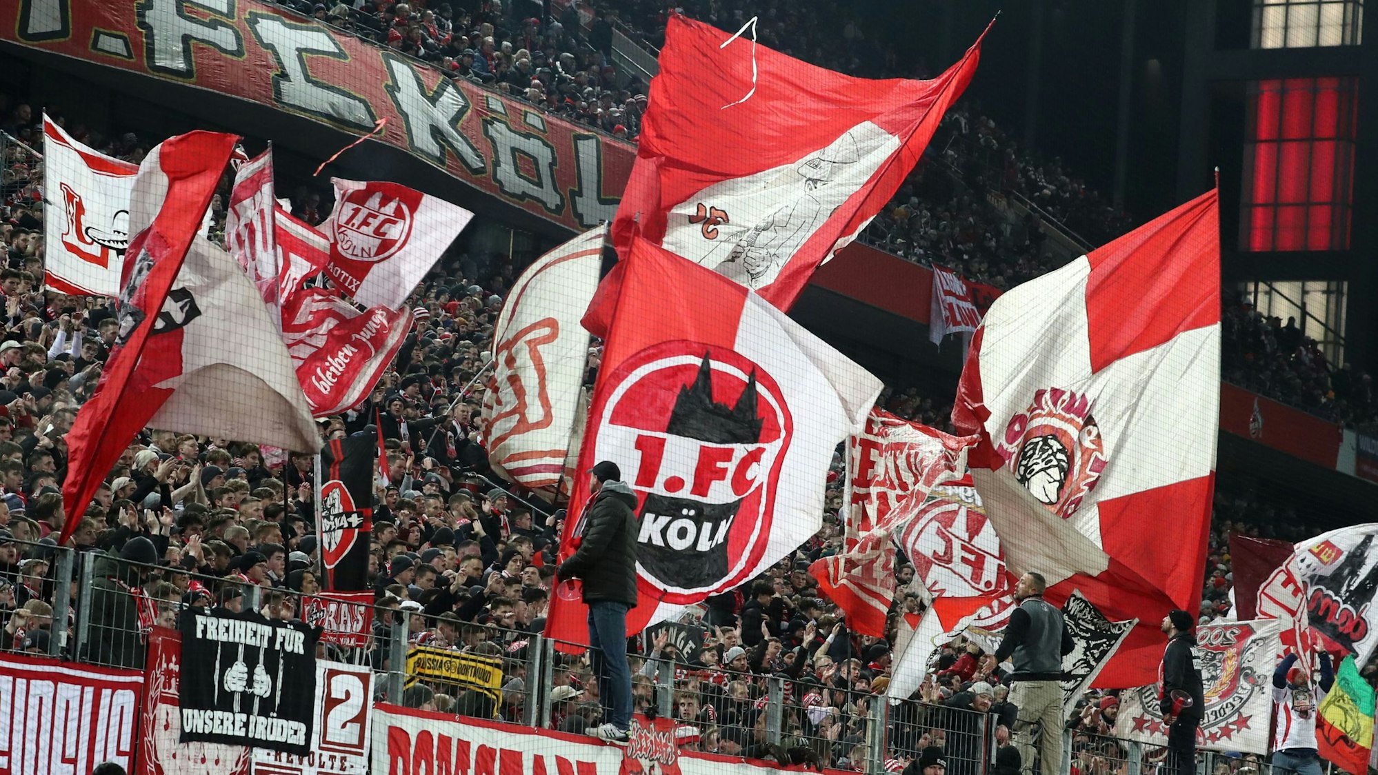 In der Südkurve des Rhein-Energie-Stadions sind mehrere Fahnen des 1. FC Köln zu sehen. Die Anhänger des Bundesligisten unterstützen ihren Verein im Rahmen eines Spiels unter Flutlicht.