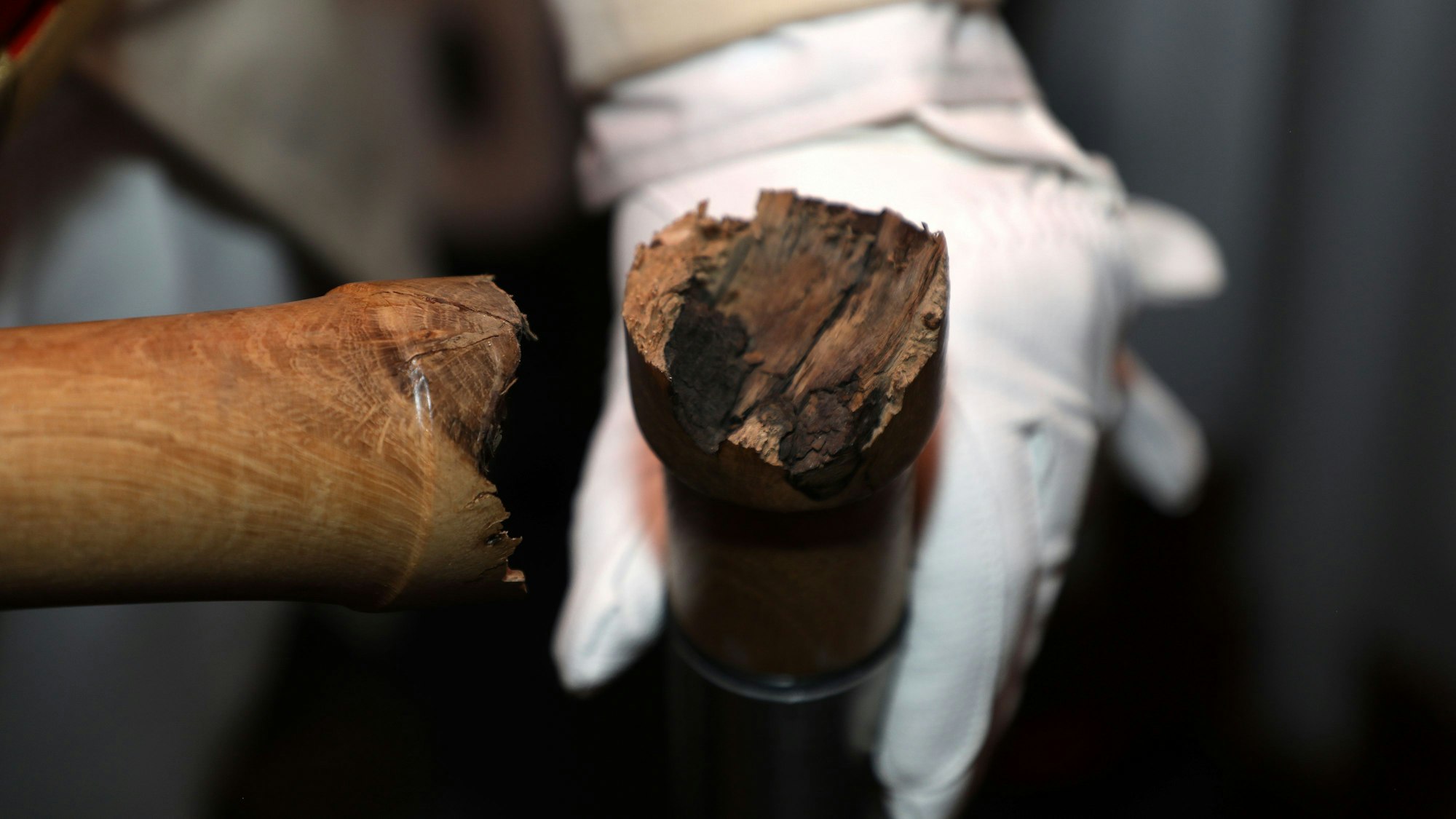 Zwei Hände halten den zerbrochenen Dreschflegel des Gladbacher Dreigestirns und zeigen die Bruchstelle.