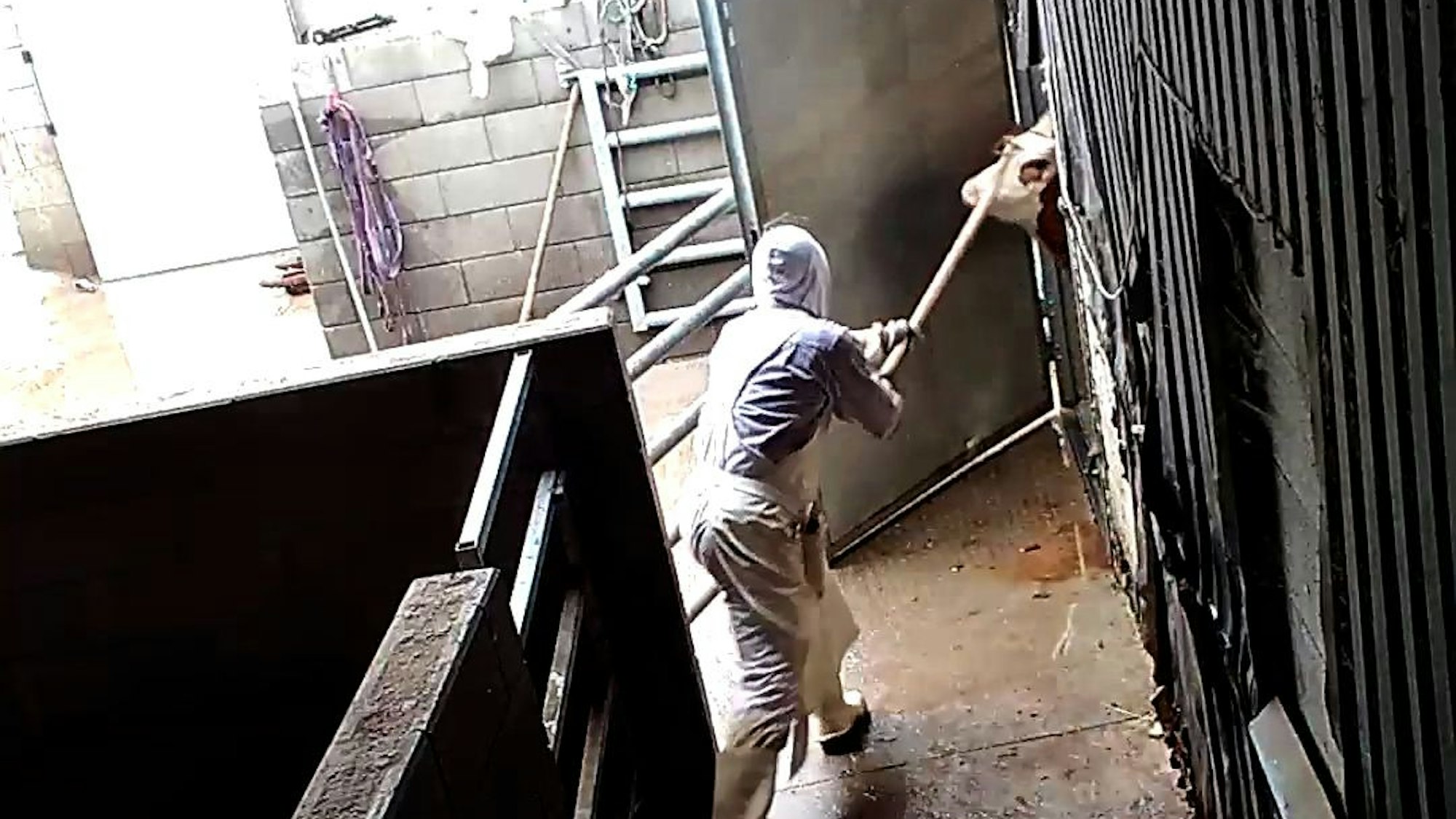 Auf dem Foto ist eine Aufnahme aus einer der von Tierschützern angebrachten Überwachungskamera zu sehen.