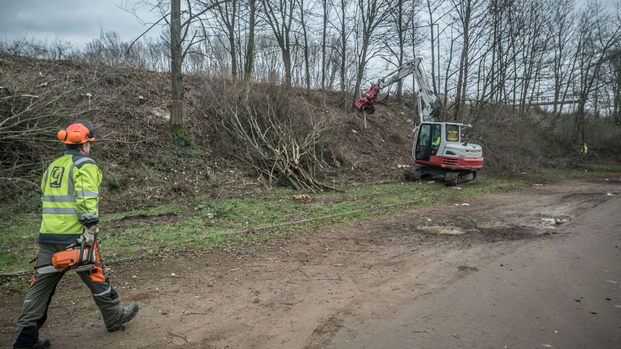 Ein Mann mit Kettensäge und ein Bagger: die Rodung entlang der Autobahn 3 ist radikal. Foto: Ralf Krieger