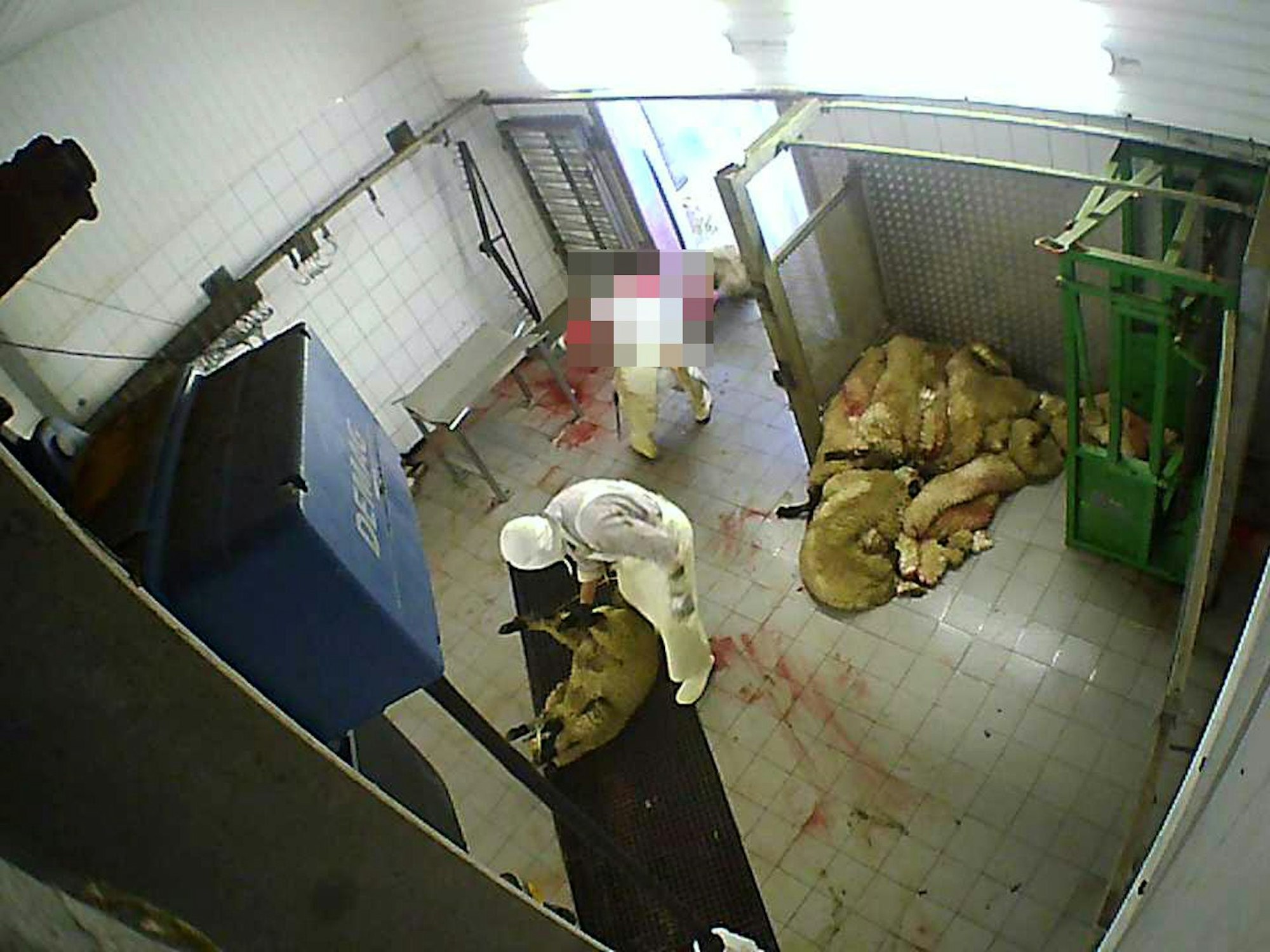 Das Bild zeigt einen Schlachthof in Hürth.