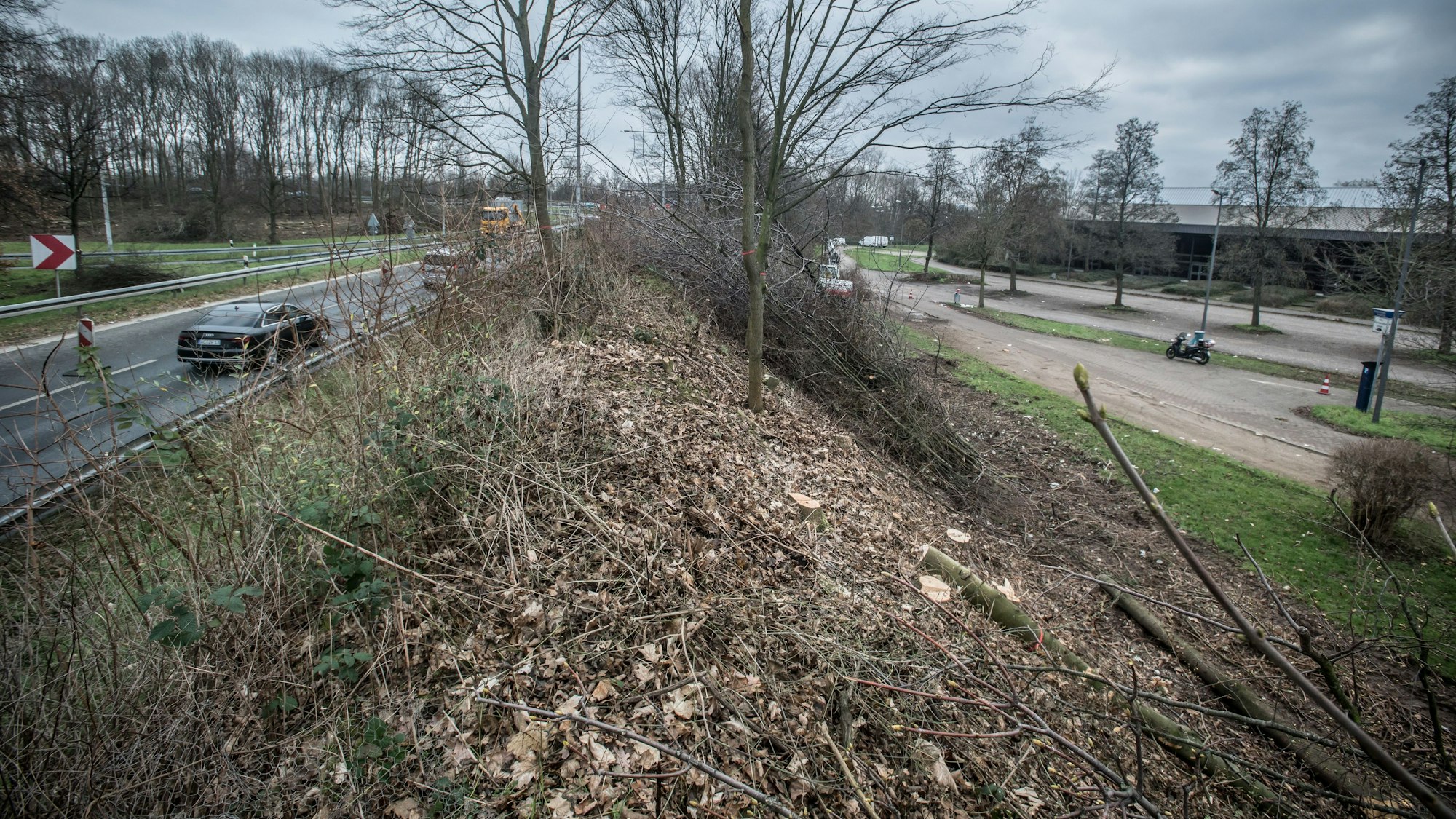 An der Dreifachturnhalle, ostermann-Arena, Stadion Bayarena. Rodung entlang der Autobahn 3. Foto: Ralf Krieger