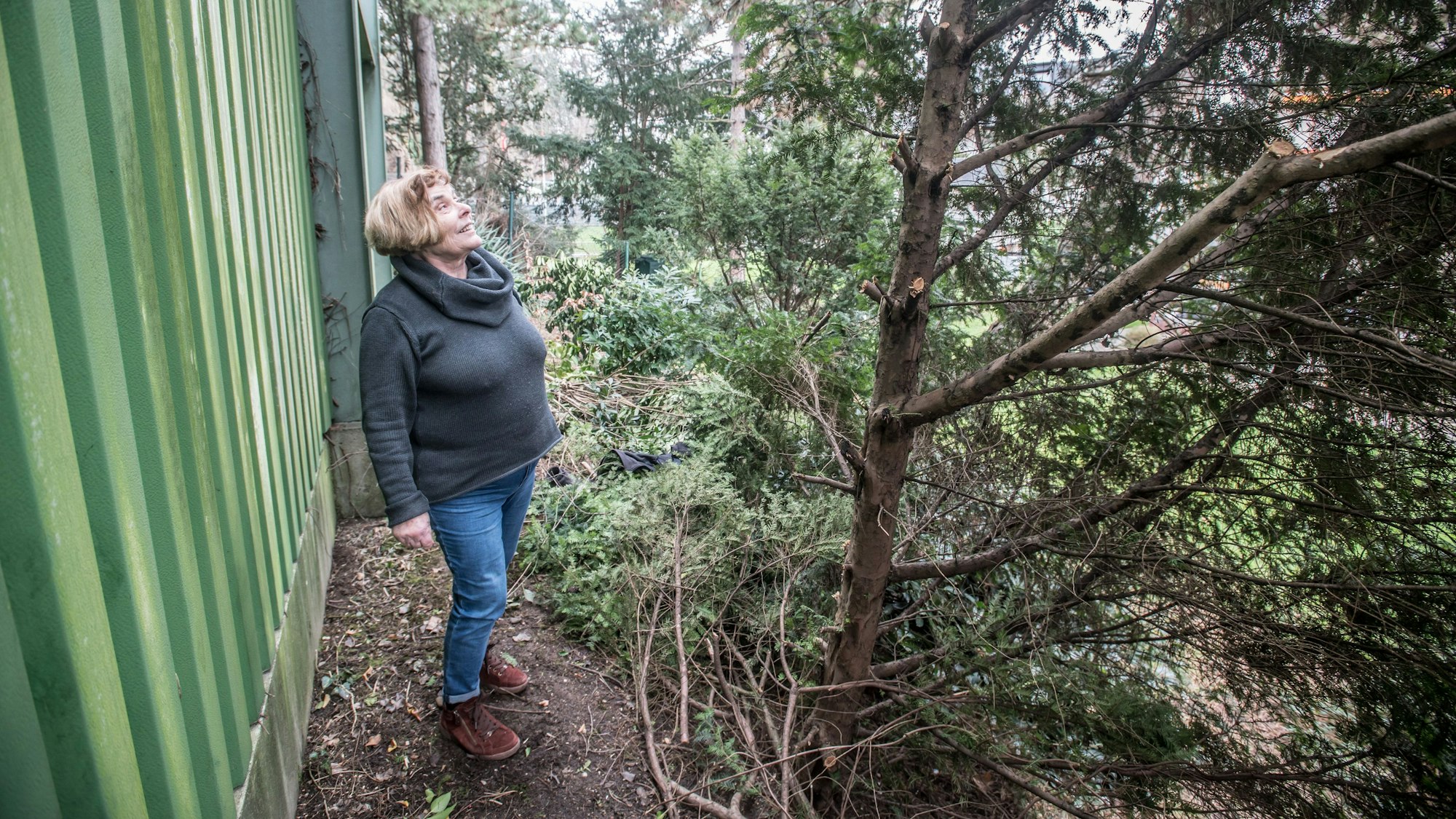 Marlene Geilen im Garten. Links eine Lärmschutzwand, sie schaut auf eine Eibe. Foto: Ralf Krieger