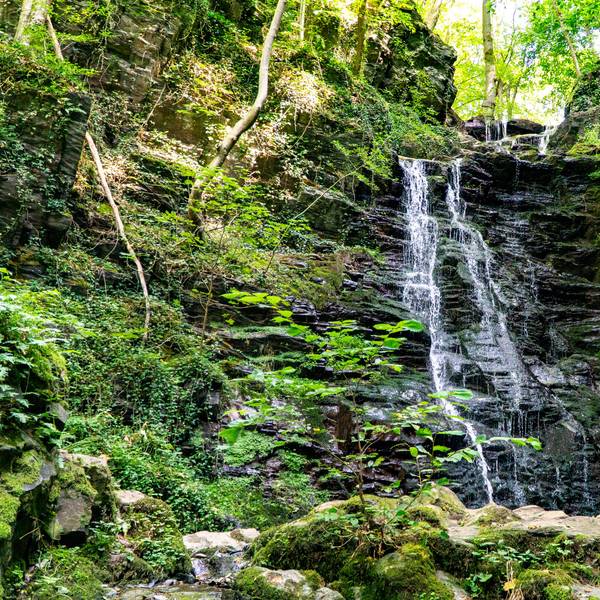 Eifel Klidinger Wasserfall, Wahl schönster Wanderweg Deutschlands