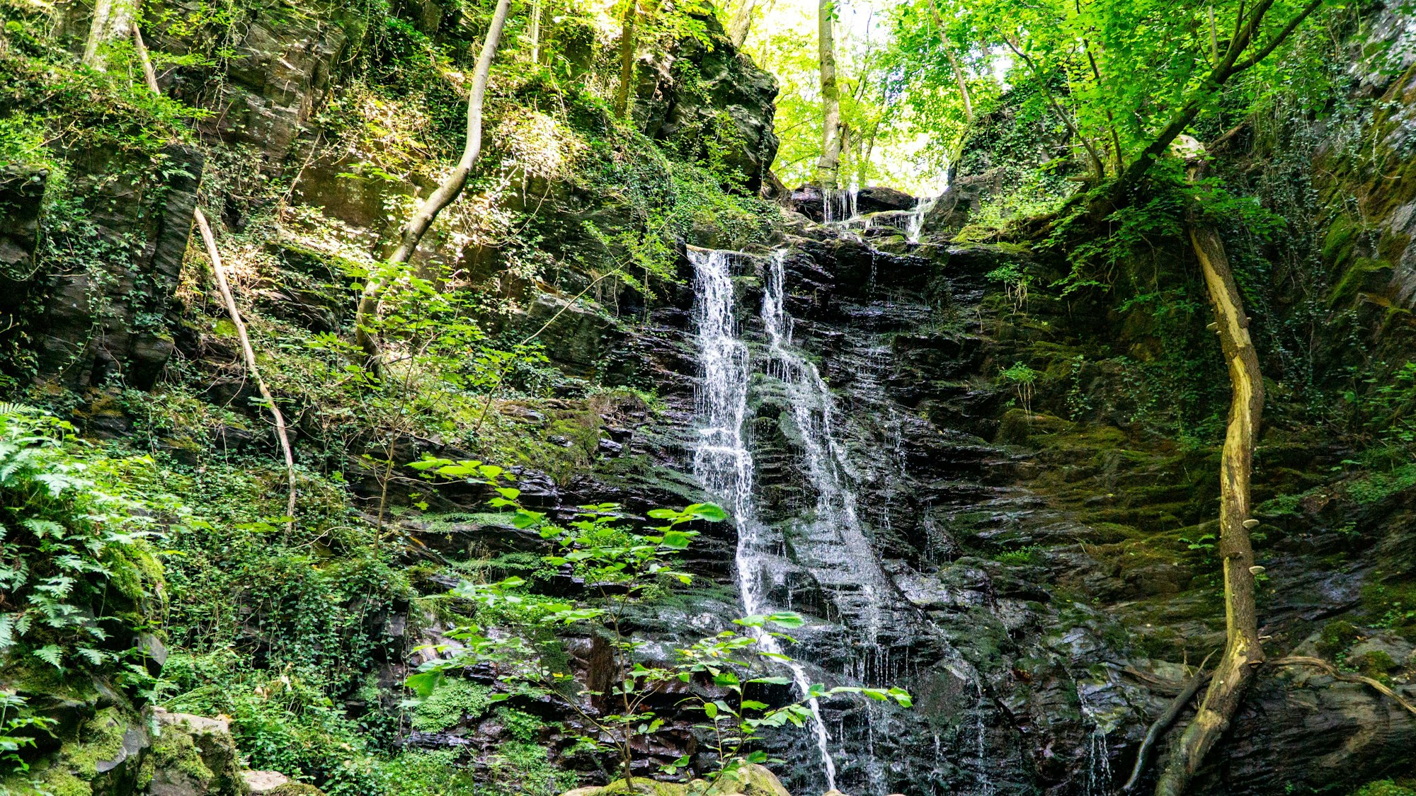 Klidinger Wasserfall in der Eifel.