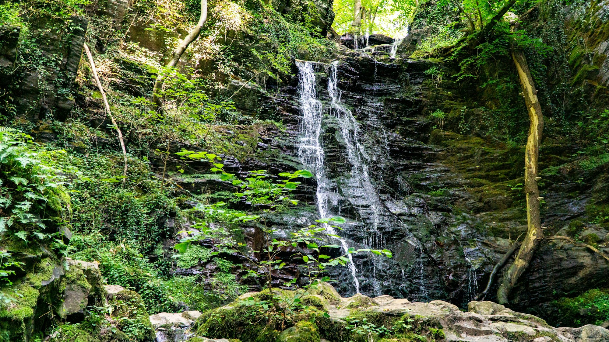 Eifel Klidinger Wasserfall, Wahl schönster Wanderweg Deutschlands