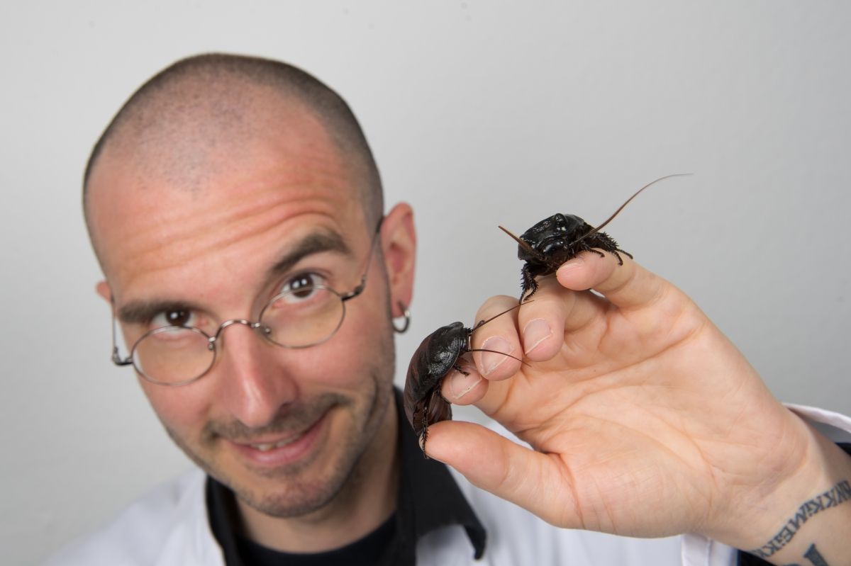 Dr. Mark Benecke mit Käfern auf der Hand.
