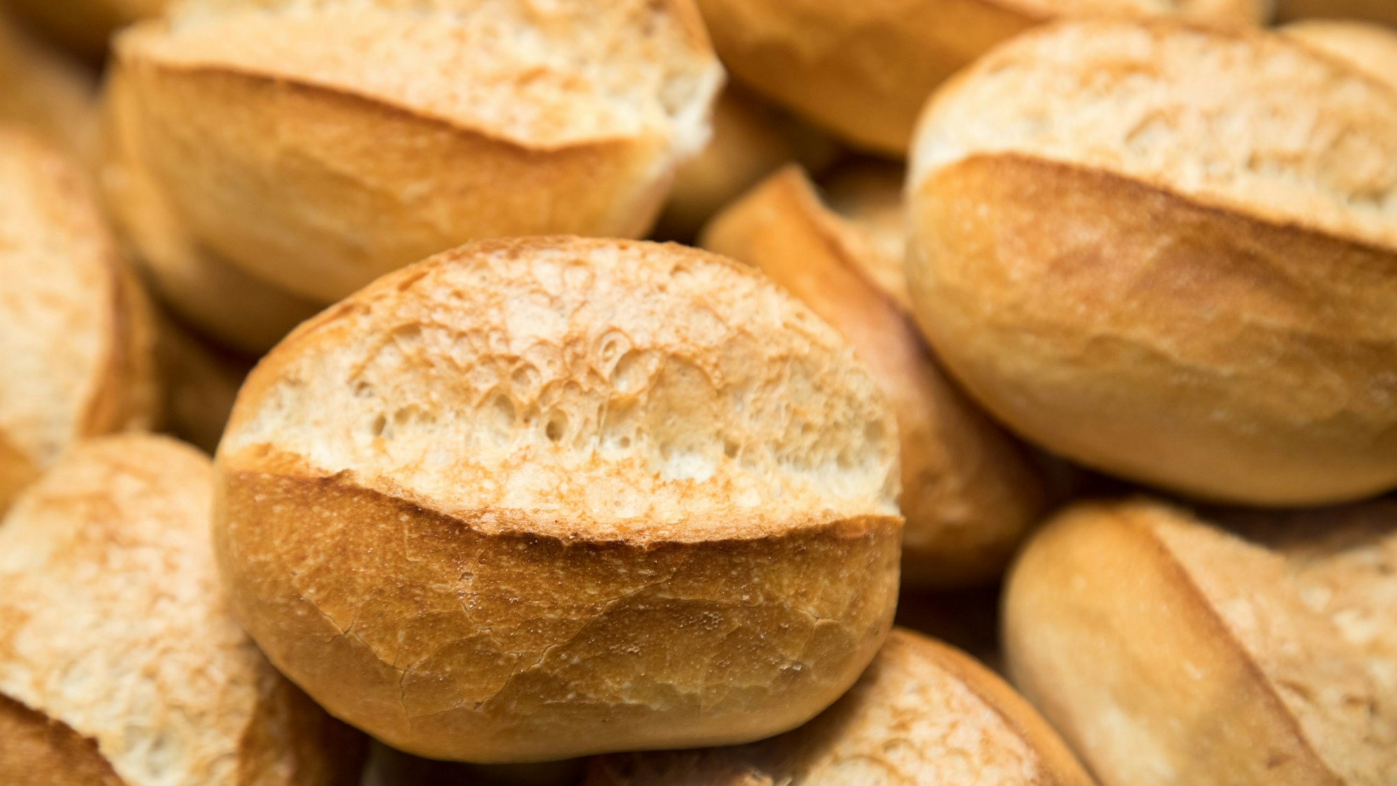 Auf dem Foto sind frische Brötchen zu sehen.