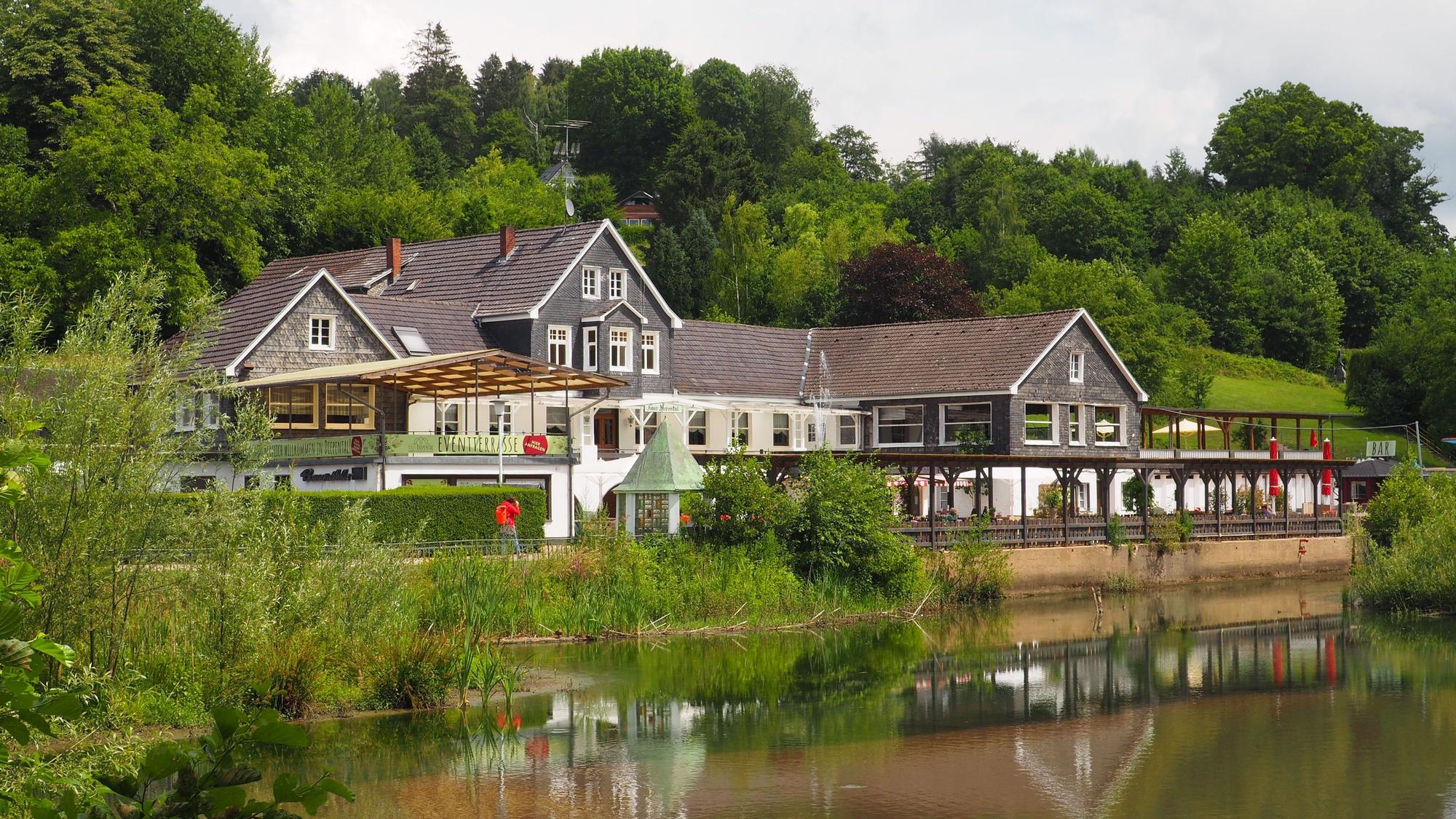 Bewachsene Ufer der Diepentalsperre am Restaurant-See