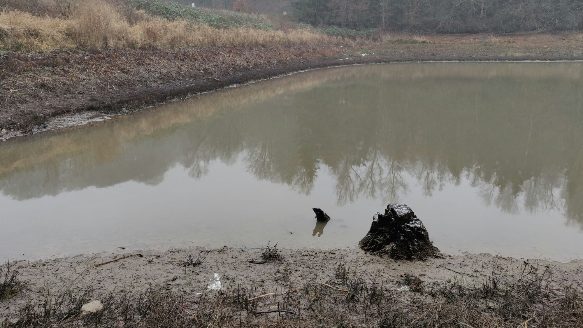 Schlammiger Uferstreifen am abgelassenen See.