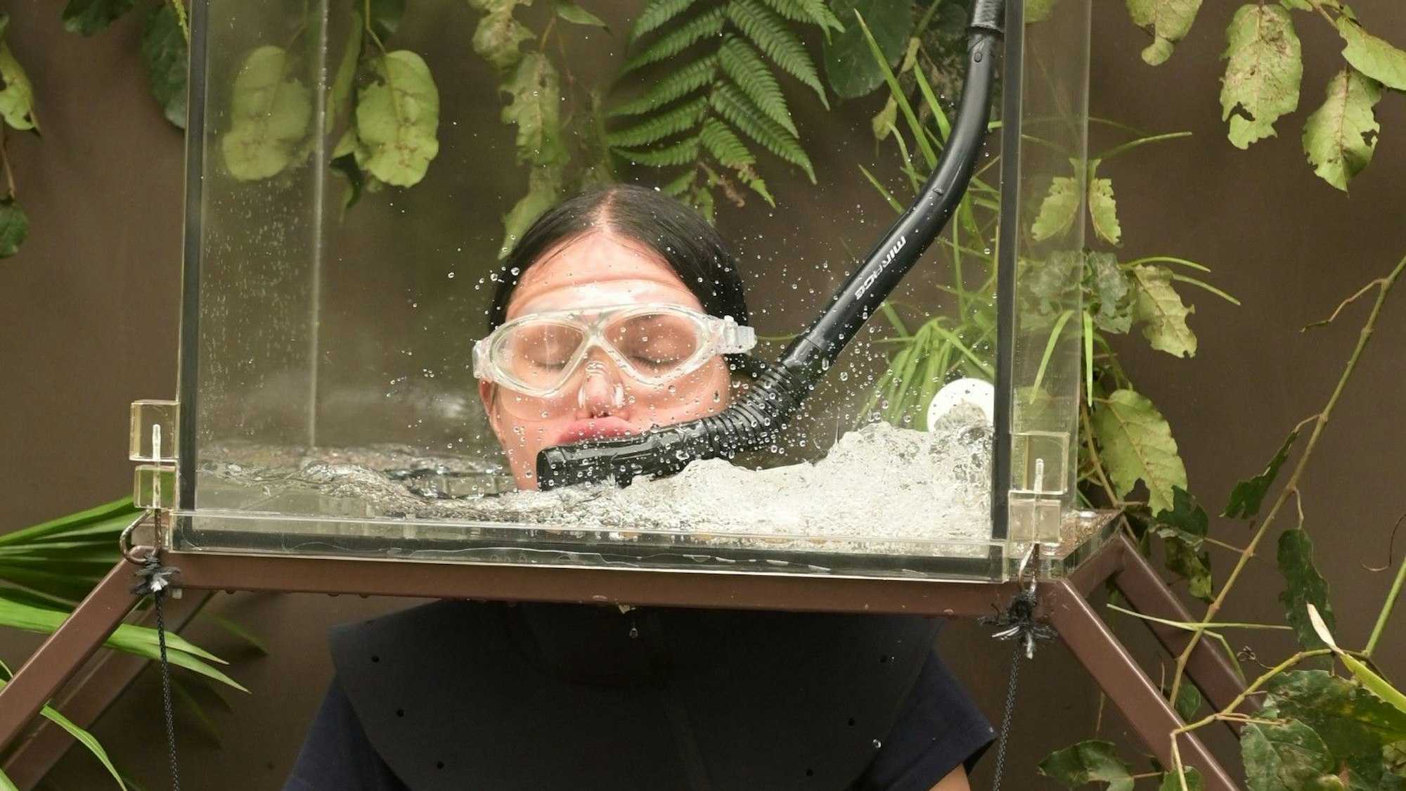 Djamila Rowe ist die 16. Dschungelkönigin bei „Ich bin ein Star – holt mich hier raus“. Im FInale landete sie vor Gigi Birofio und Lucas Cordalis.