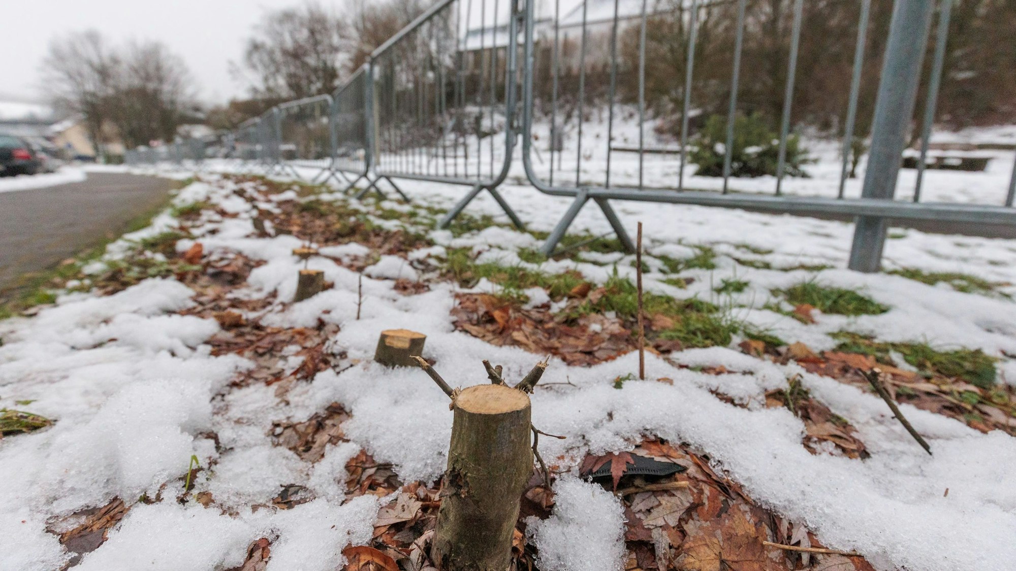 Zu sehen sind die Reste einer Hecke, davor eine Reihe Absperrgitter.