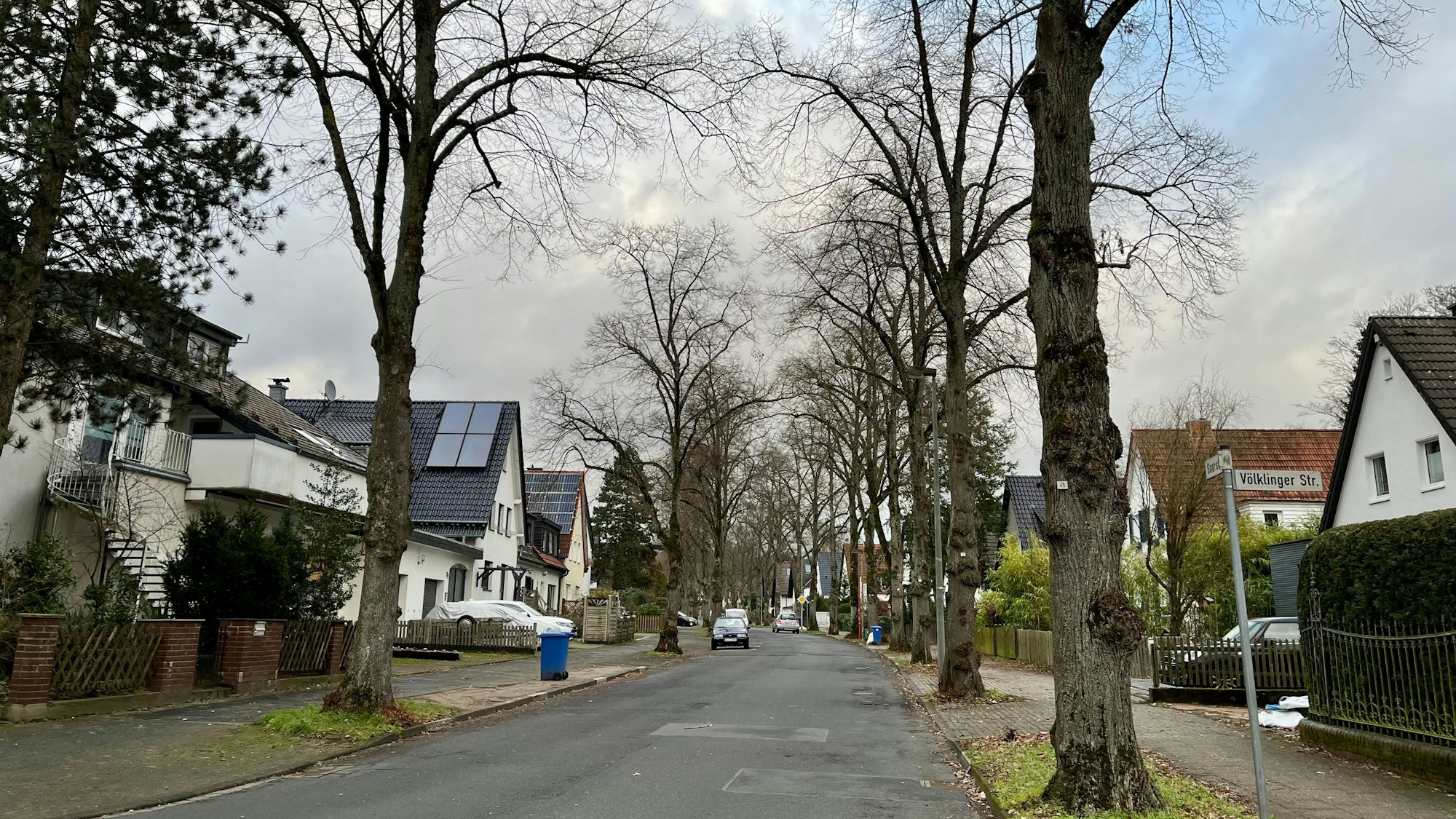 Blick auf die von großen Bäumen gesäumte Saarstraße.