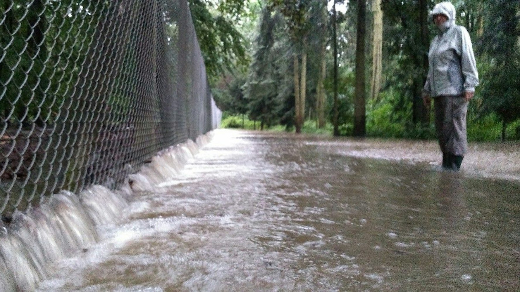 Das Wasser fließt am Wildschweingehege durch den Dünnwälder Wildpark.