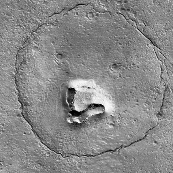 Bären-Gesicht auf dem Mond