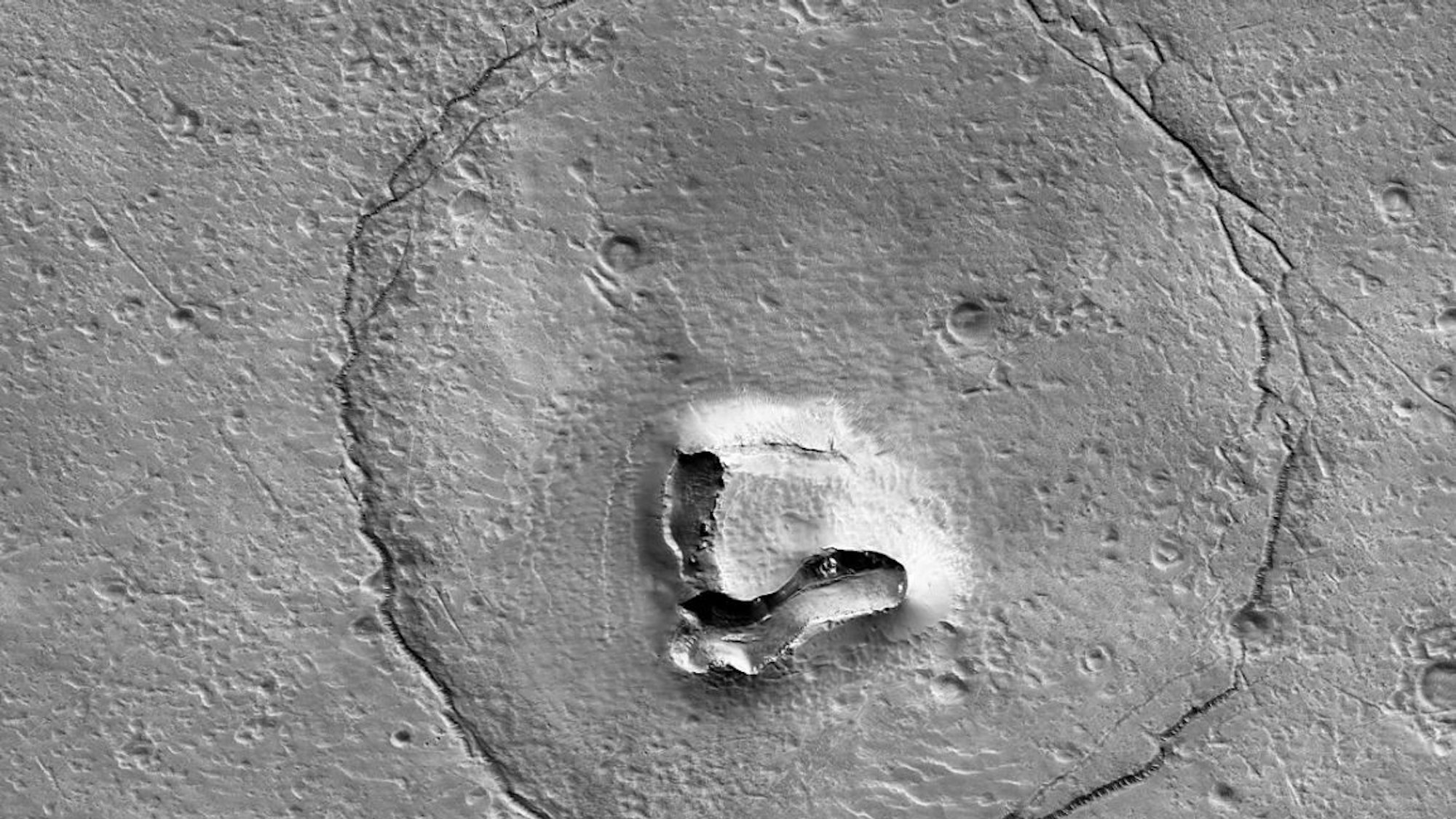 Bären-Gesicht auf dem Mond