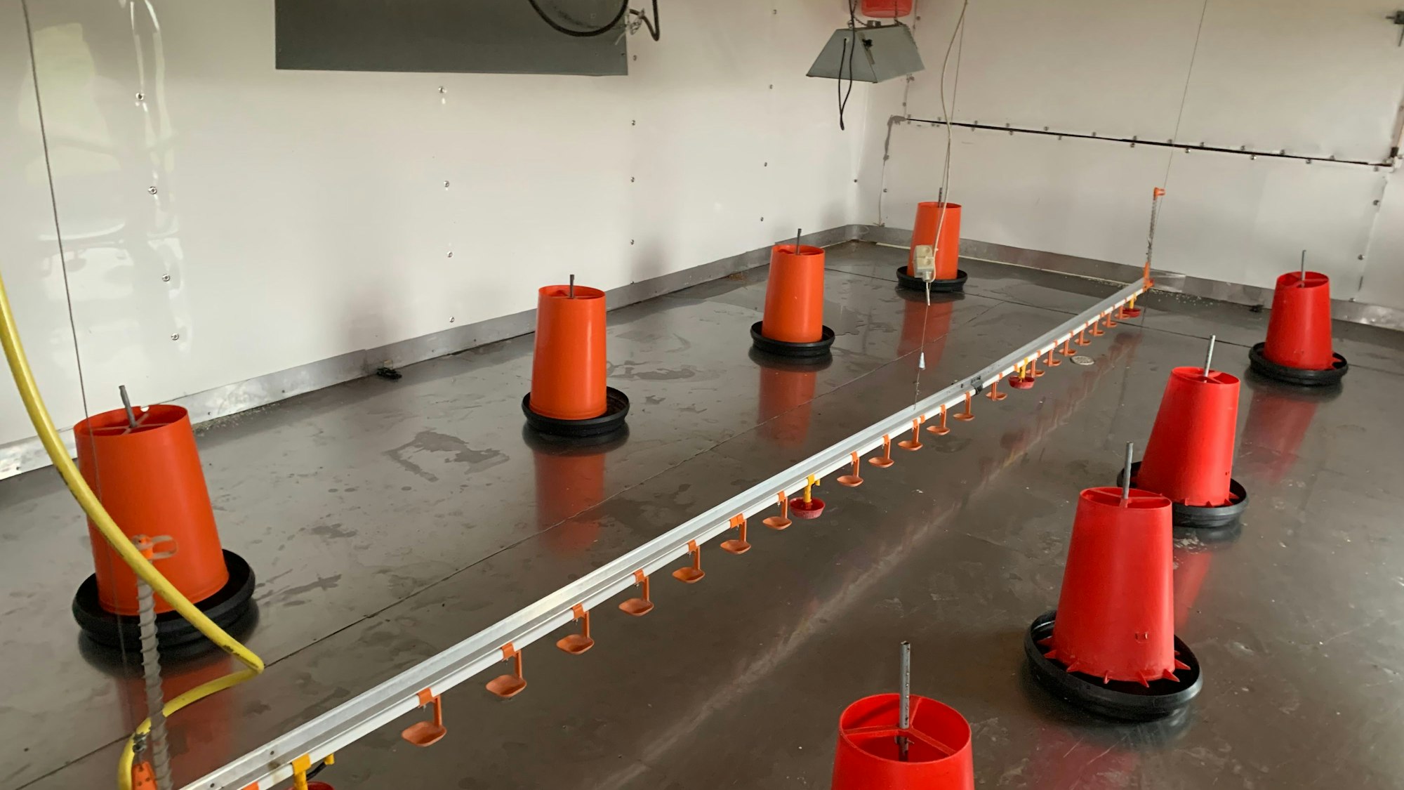 Kein Küken im Wärmezimmer, 33 Grad kosten zu viel Energie, auf dem Geflügelhof Wirtz muss gespart werden.