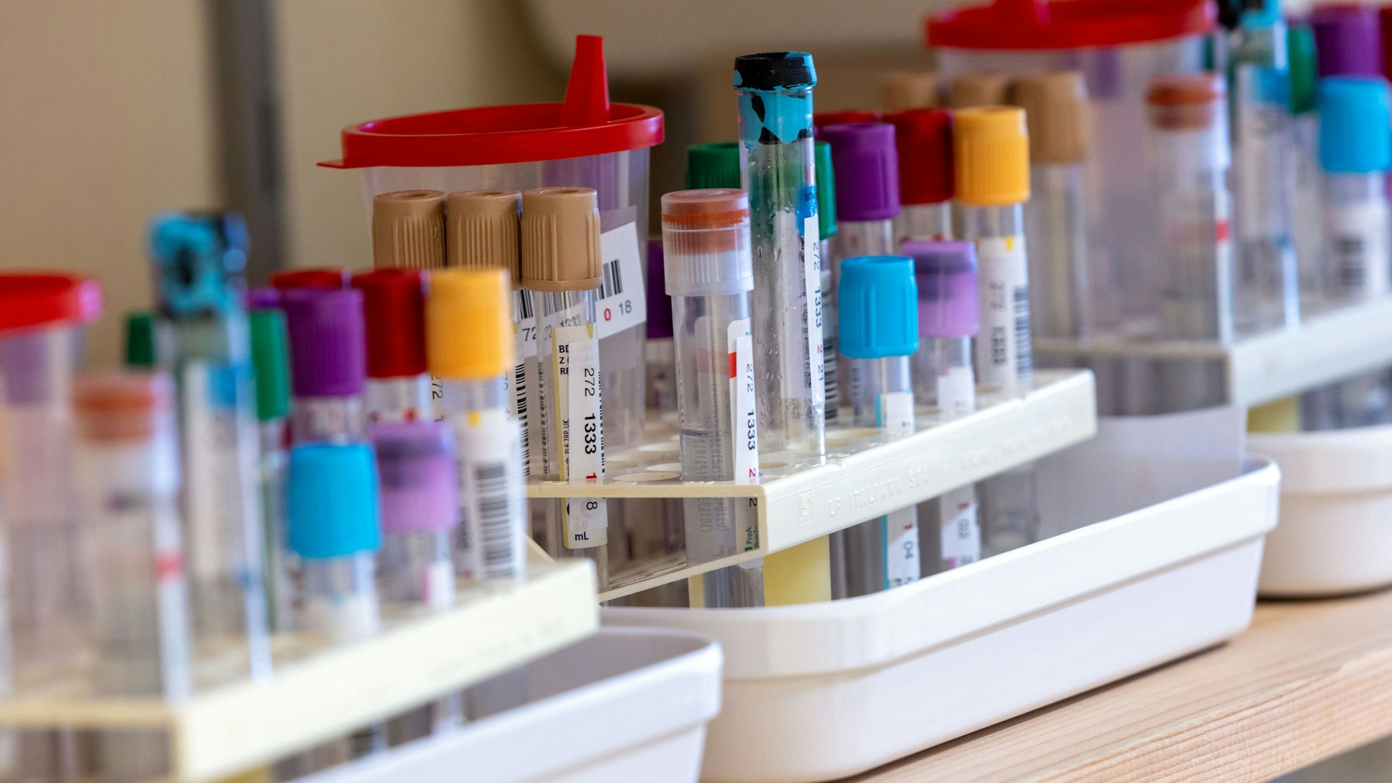 Ein Vogelgrippe-Ausbruch in Europa besorgt Virologen und Experten. Die Übertragung von Säugetier zu Säugetier sei ein Zeichen für Mutationen, die auch für Menschen gefährlich sein könnten. (Symbolbild)