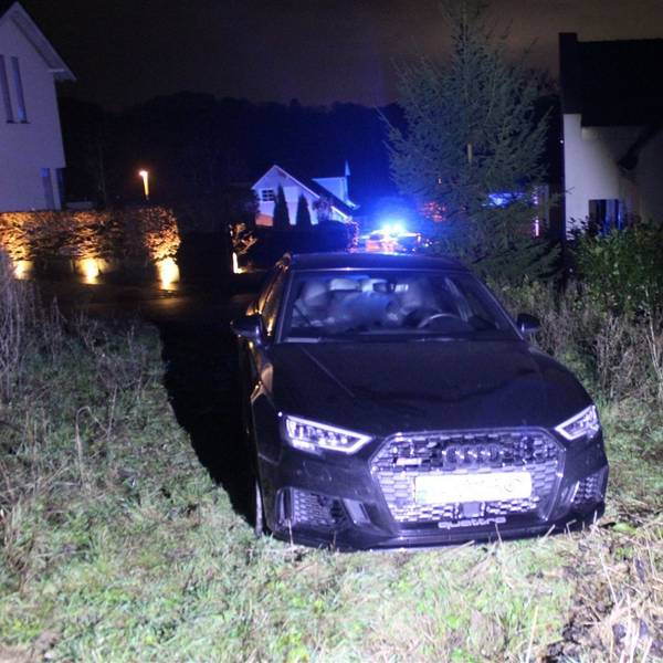 Ein dunkler Audi steht auf einer Wiese, im Hintergrund sind Häuser zu sehen.