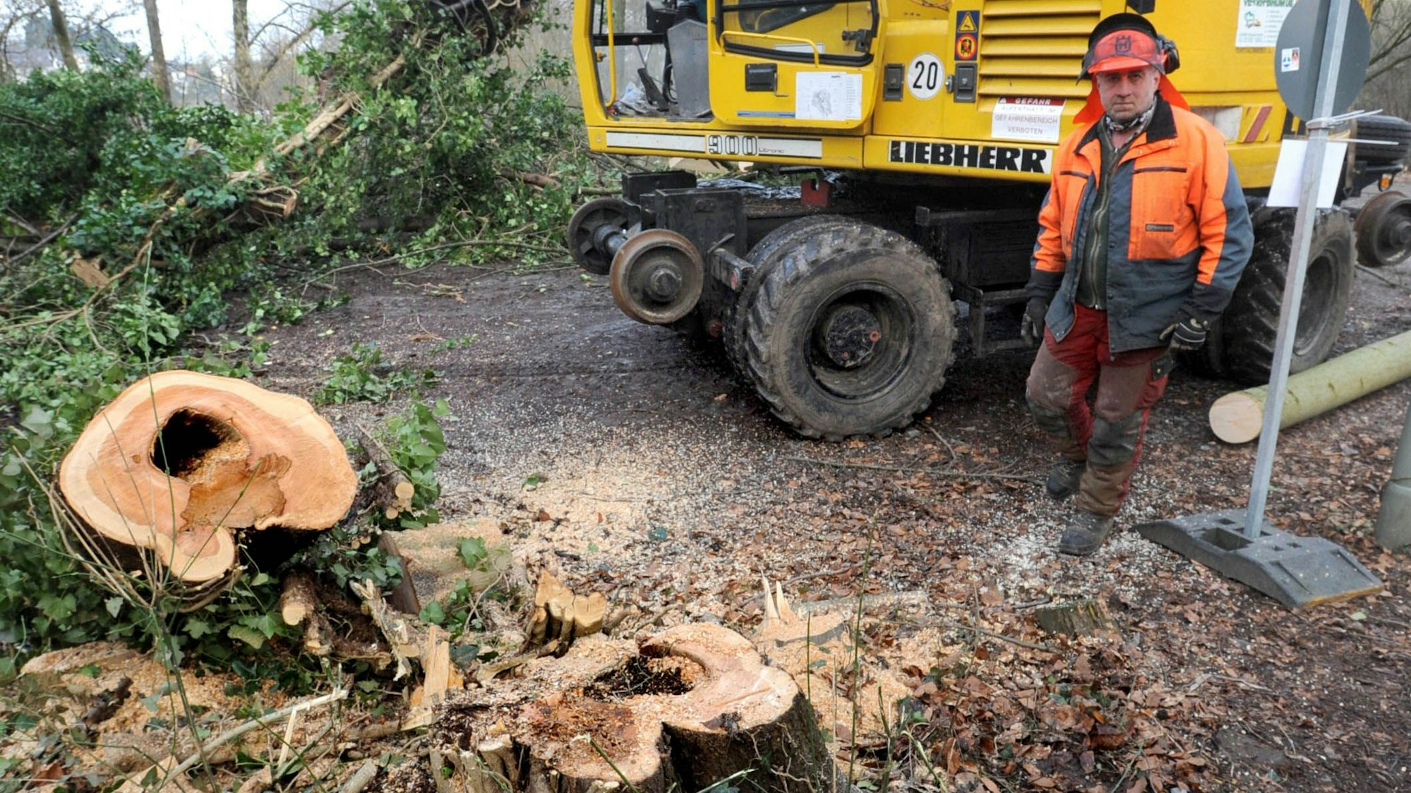 Abgesägter Baum neben der Radtrasse in Burscheid